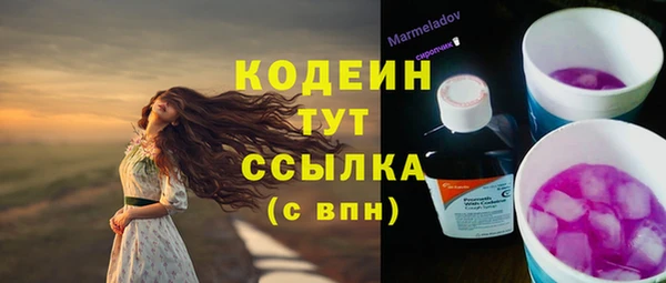 мет Гусев