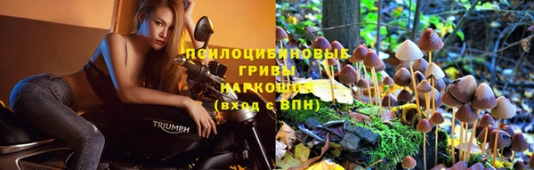 каннабис Гусиноозёрск