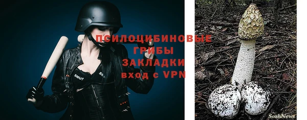 мет Гусев